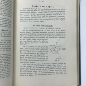 Handbuch der Anatomie der Tiere für Kunstler, W. Ellenberger, H. Baum, Hermann Dittrich