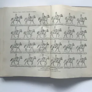 Handbuch der Anatomie der Tiere für Kunstler, W. Ellenberger, H. Baum, Hermann Dittrich
