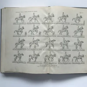 Handbuch der Anatomie der Tiere für Kunstler, W. Ellenberger, H. Baum, Hermann Dittrich