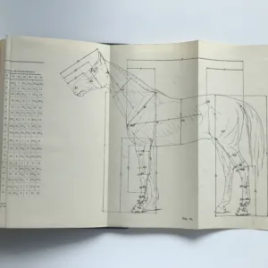 Handbuch der Anatomie der Tiere für Kunstler, W. Ellenberger, H. Baum, Hermann Dittrich