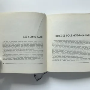 Podhorští tkalci (Listy z hořické kroniky), Alois Jilemnický