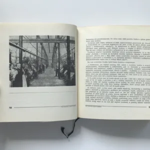 Podhorští tkalci (Listy z hořické kroniky), Alois Jilemnický