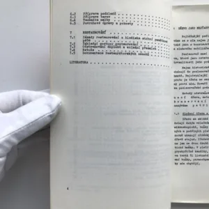 Pozlacování III (Učební obor pozlacovač), Ludvík Losos, Václav Lux