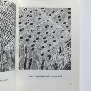 Pozlacování III (Učební obor pozlacovač), Ludvík Losos, Václav Lux