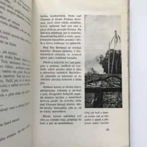 Pampa Florida, Alan Forejt