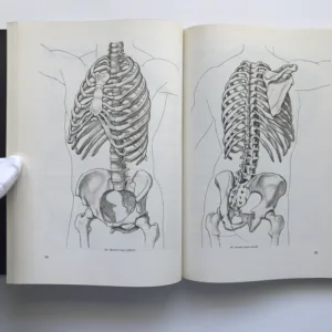 Anatomie člověka I, Jaroslav Fleischmann, Rudolf Linc
