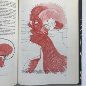 Anatomie člověka I, Jaroslav Fleischmann, Rudolf Linc
