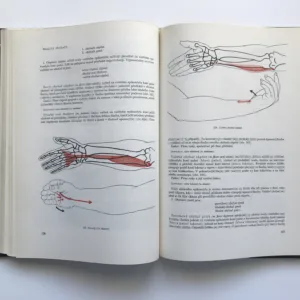 Anatomie člověka I, Jaroslav Fleischmann, Rudolf Linc