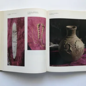 Искусство Монголии с древнейших времен до начала ХХ века (Mongolské umění od starověku do 20. století), Cultem Njam-Osoryn