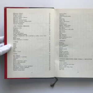 Fantastické a magické z hlediska psychiatrie, Vladimír Vondráček, František Holub