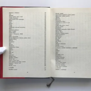 Fantastické a magické z hlediska psychiatrie, Vladimír Vondráček, František Holub