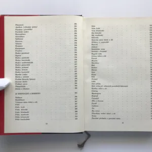 Fantastické a magické z hlediska psychiatrie, Vladimír Vondráček, František Holub