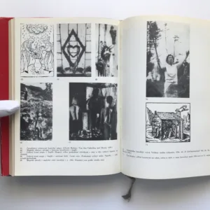 Fantastické a magické z hlediska psychiatrie, Vladimír Vondráček, František Holub