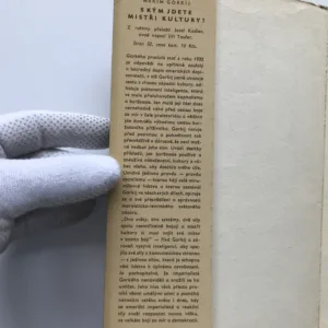 S kým jdete, mistři kultury? (Odpověď americkým dopisovatelům), Maxim Gorkij