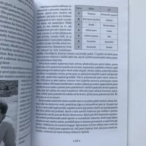 Mantry (Zpěvem ke klidu a míru), Henry Marshall