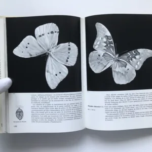 Encyclopédie des papillons, Václav Jan Staněk