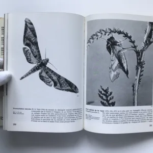 Encyclopédie des papillons, Václav Jan Staněk