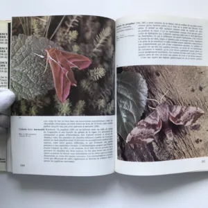 Encyclopédie des papillons, Václav Jan Staněk