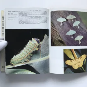 Encyclopédie des papillons, Václav Jan Staněk