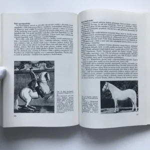 Chov koní, Jan Štrupl