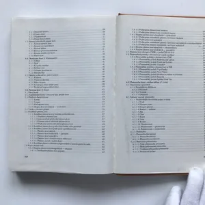 Chov koní, Jan Štrupl