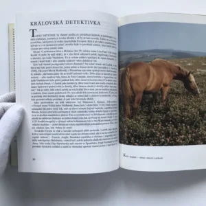 Zkrocený vládce stepi, Luděk J. Dobroruka, Helena Kholová