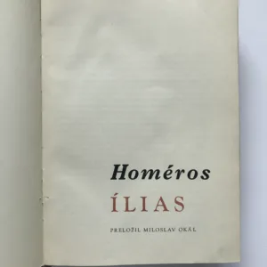Ílias, Homéros, Vincent Hložník