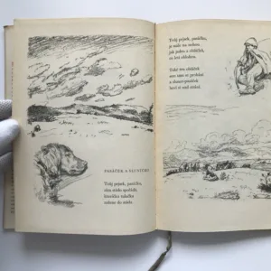 Pasáček a sluníčko, František Hrubín, Max Švabinský