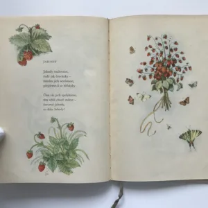 Pasáček a sluníčko, František Hrubín, Max Švabinský