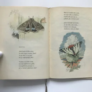 Pasáček a sluníčko, František Hrubín, Max Švabinský