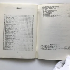 Více než pozemšťané, James B. Irwin