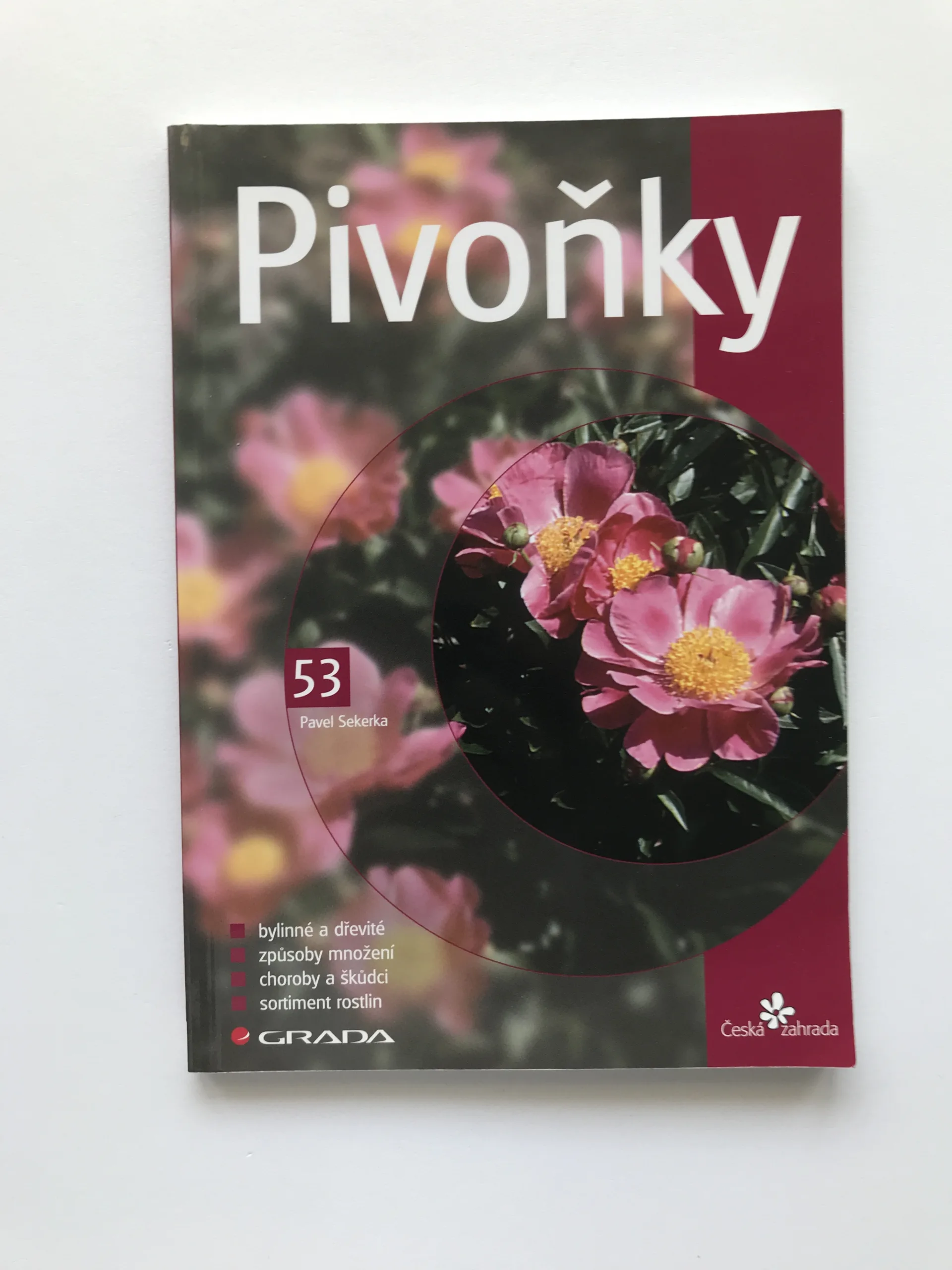 Pivoňky, Pavel Sekerka