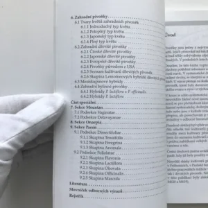 Pivoňky, Pavel Sekerka