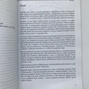 Pivoňky, Pavel Sekerka