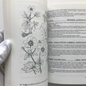 Květinářství 3 – Květiny k řezu pod sklem a květiny pro venkovní stanoviště, Josef Vít, Věra Nachlingerová, Rudolf Votruba