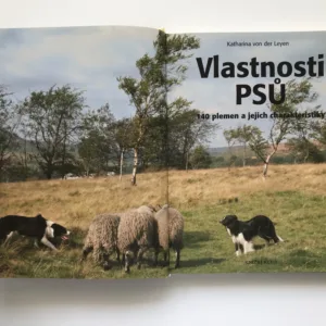 Vlastnosti psů (140 plemen a jejich charakteristiky), Katharina von der Leyen