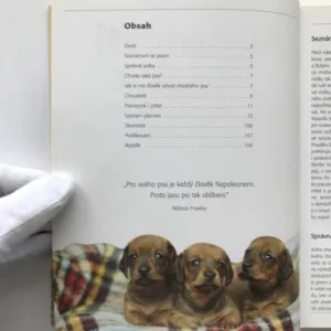 Vlastnosti psů (140 plemen a jejich charakteristiky), Katharina von der Leyen