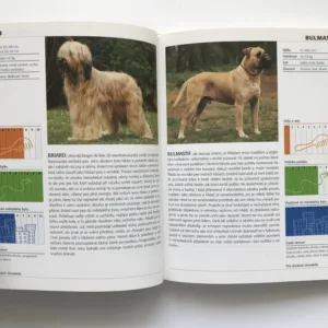 Vlastnosti psů (140 plemen a jejich charakteristiky), Katharina von der Leyen