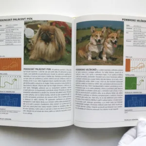 Vlastnosti psů (140 plemen a jejich charakteristiky), Katharina von der Leyen