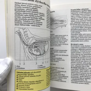 Pes a domácí lékař, Václav Naxera