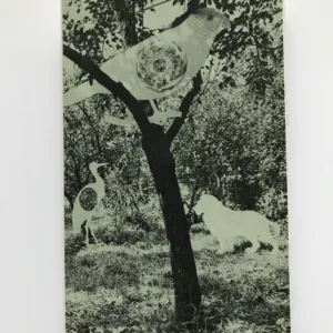 Černá lyra / Návod k upotřebení / Marsyas / Z pozůstalosti pana A./ Vršovický Ezop / Česká suita, Jiří Kolář