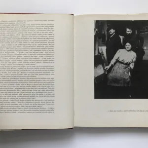 Jan Slavíček, Luboš Hlaváček