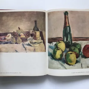 Jan Slavíček, Luboš Hlaváček