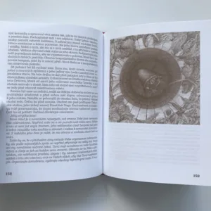 Zvonařova pomsta, Pavla Jungmannová