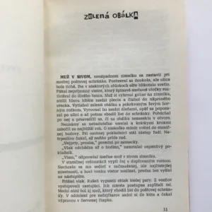 Stopa vedie k Renému, Rudolf Ströbinger