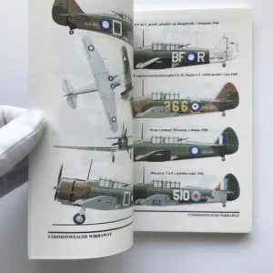 Aero L-39 Albatros / Polikarpov Po-2 / Commonwealth Wirraway, Pavel Kučera, Jiří Vraný, Josef Novotný