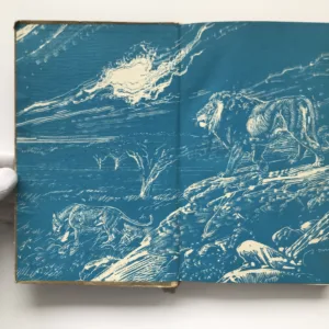 Hviezda juhu, Jules Verne, Zdeněk Burian