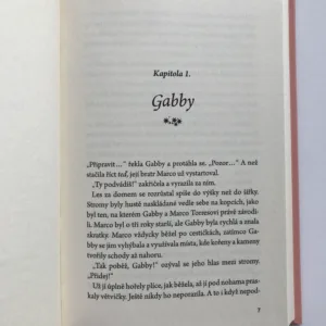 Můj anděl strážný – Nové začátky, Victoria Schwabová