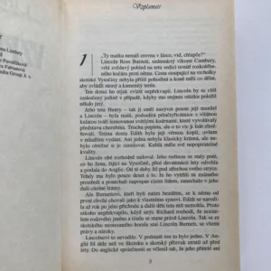 Vzplanutí, Johanna Lindseyová