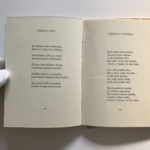 Večer u studny, František Branislav